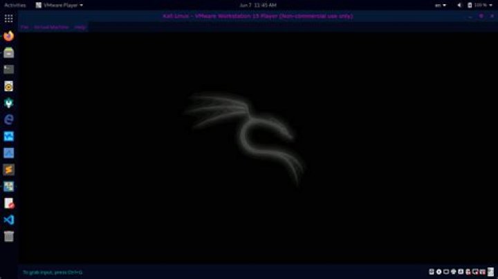 Kali Linux in VMware, Blinking cursor top-right, Black screen