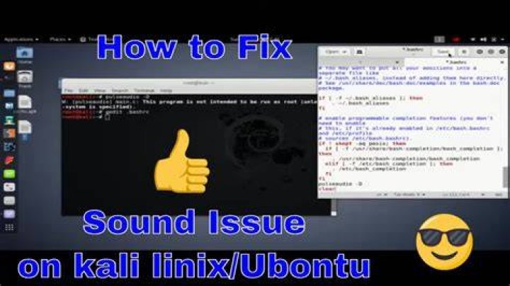 Kali Linux No Sound