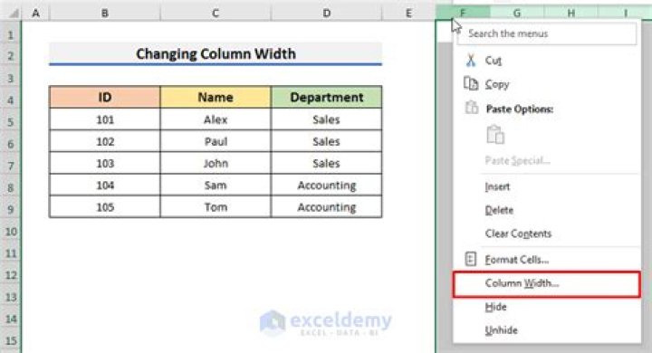 Limit an Excel cell to one of two possible values