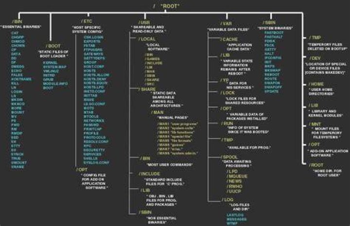 Linux / Folder and /root folder
