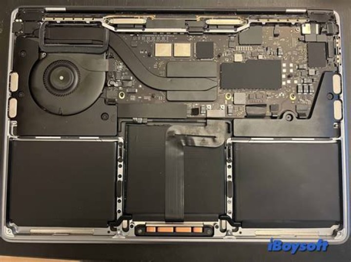 Mac's hard drive is filling itself
