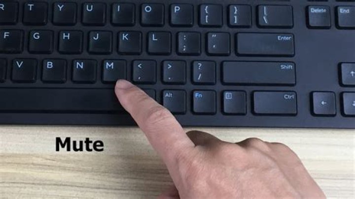 Mute a program/an application windows 7