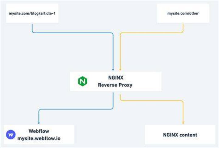 Nginx reverse proxy is rewriting url to 127.0.0.1