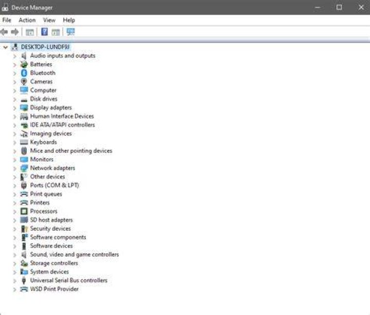 No "Firmware" category in Device Manager?