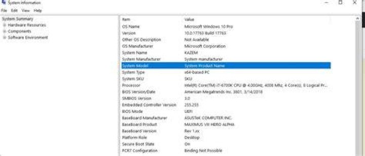 No System Model and System Manufacturer name?