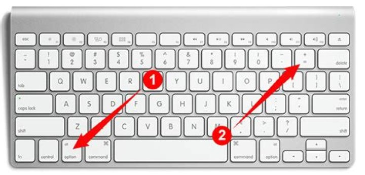 "Not equal to" sign Alt code in a plain text editor [duplicate]