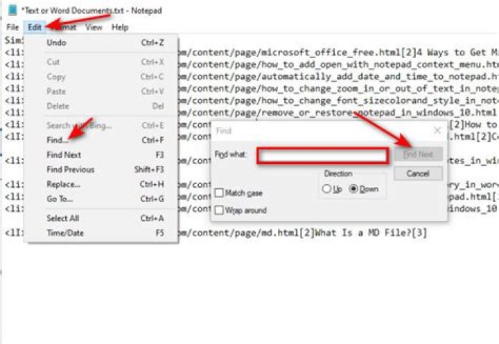 Notepad++ find and replace within a constant string