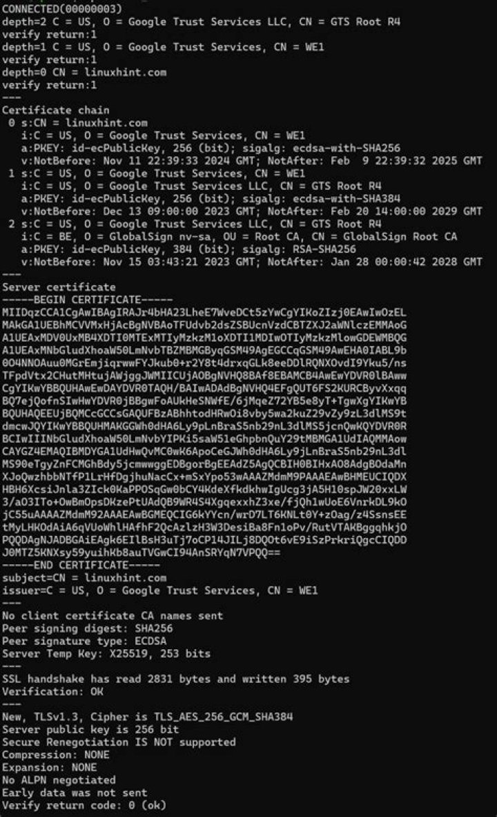 openssl s_client, what does s/i mean?