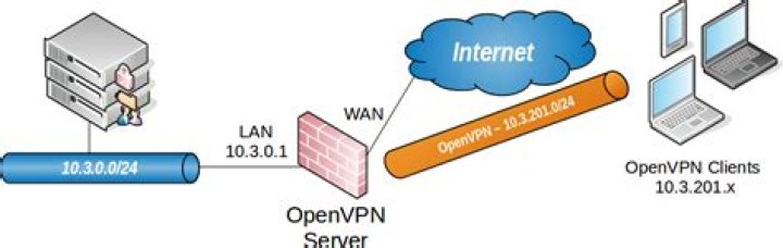 OpenVPN to only access remote server resources