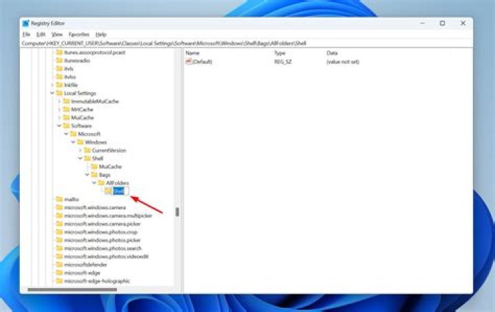 Opera makes scoped_dir* folders in the Downloads folder