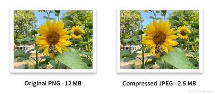 OS X: How to perform a lossless crop of a JPEG image?