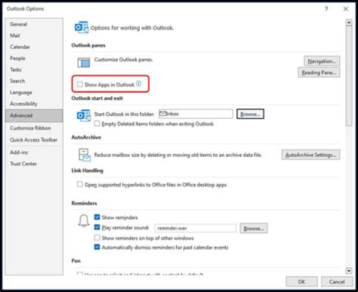 Outlook Options