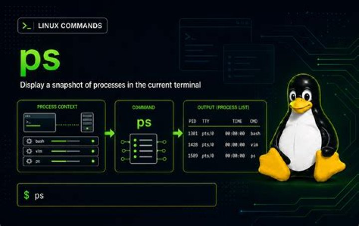 Output of the "ps w" command