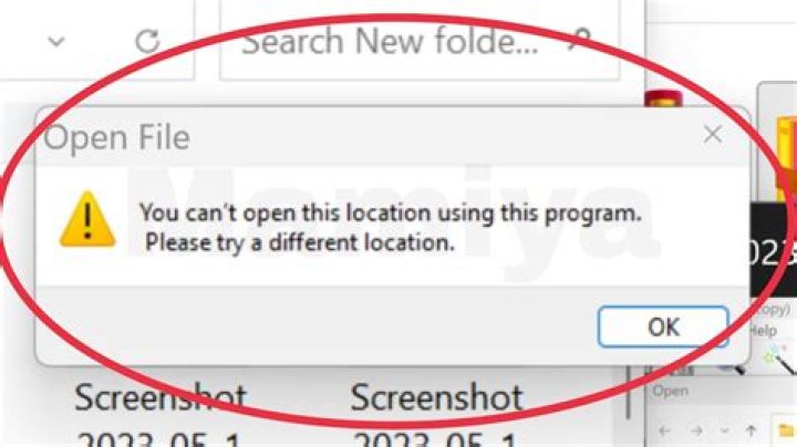 Pasting url in file window stopped working and prompts "You can't open this location using this program"