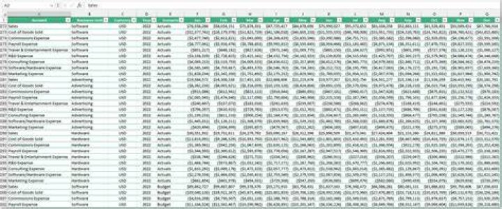Pic of excel file