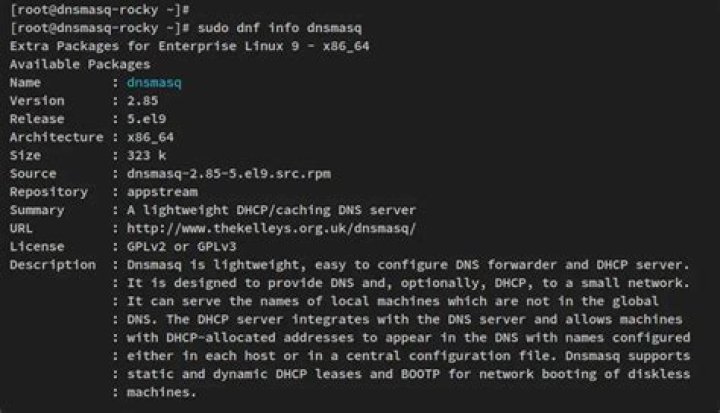 Ping to dnsmasq's host resolvesto 127.0.0.1