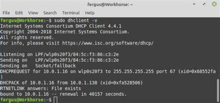 Pipe Output of dhclient with sed