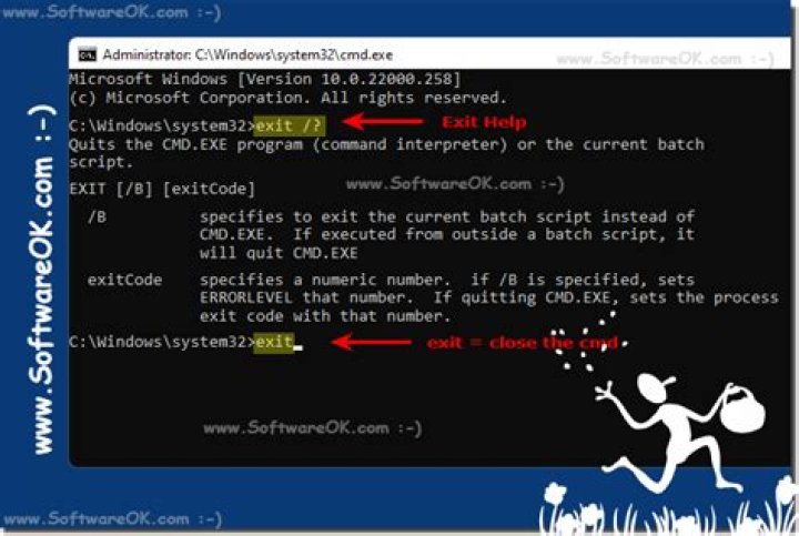 Prevent "Exit" command in script to close Cmd
