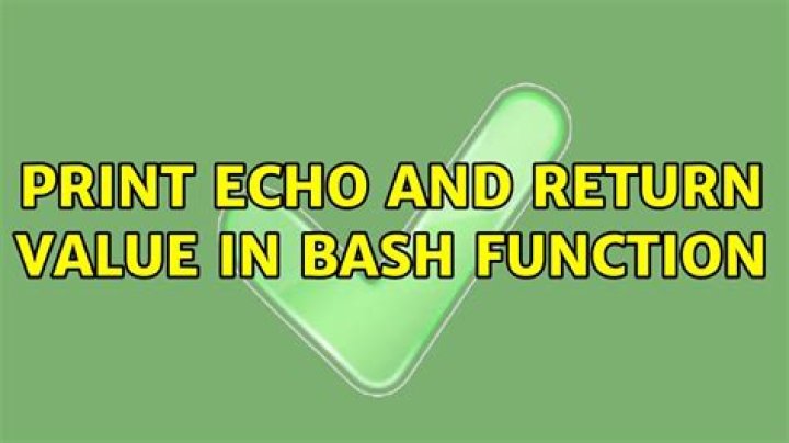 Print echo and return value in bash function