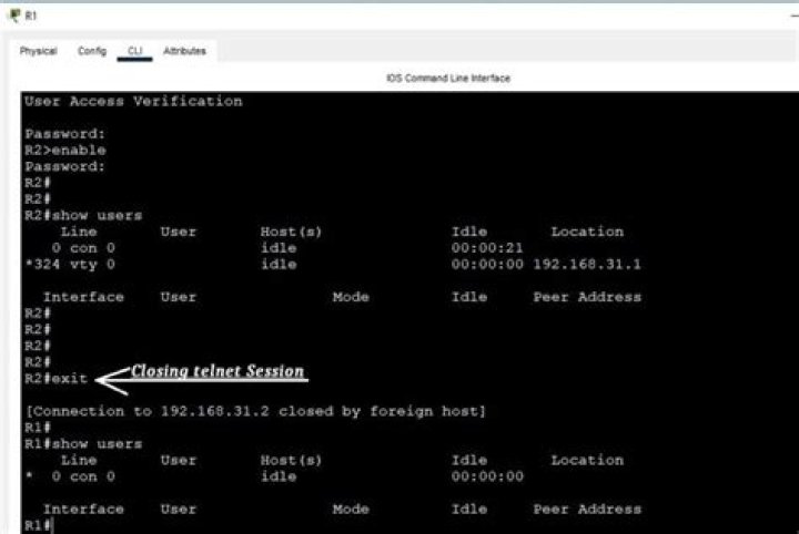 PuTTY closes when opening SMTP over Telnet on certain server