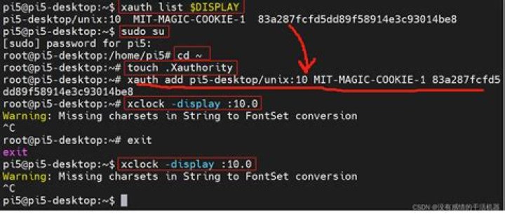 Qt5's QPA can not connect to my display?