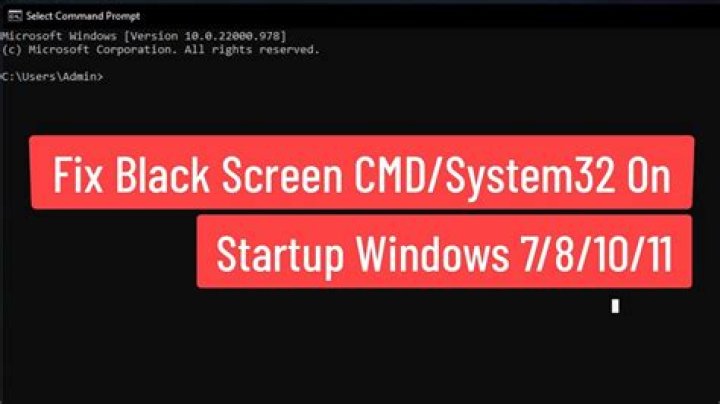 Random black screen at startup before BIOS message