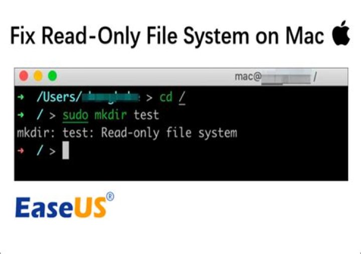 "Read-only file system" when I try to touch in Mac OS Catalina