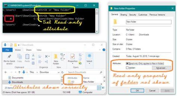 Read-only folder in File Explorer