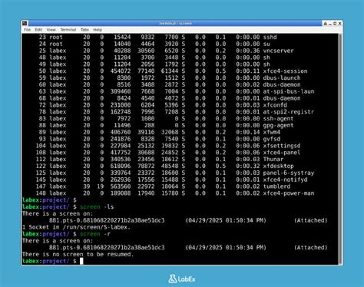 Reattaching to screen - Linux