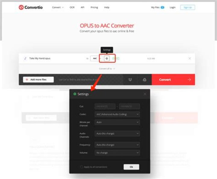 Recommended settings to convert Opus to AAC