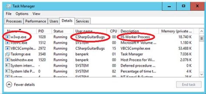 Repeated w3wp.exe in Task Manager