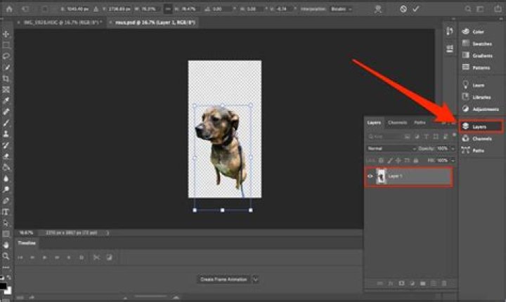 Resize an image by dragging and dropping in Photoshop