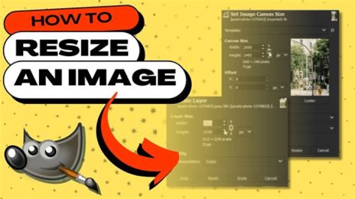 Resizing image interactively in gimp?