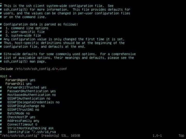 Run a remote command using ssh config file