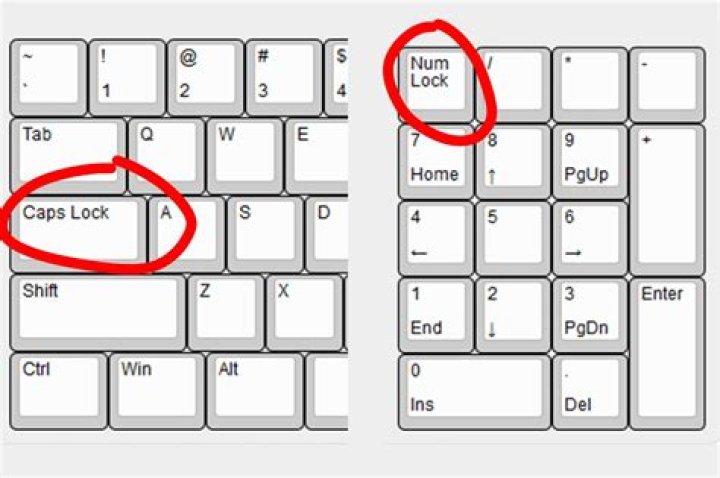 Scroll Lock key on for keyboard lights but off for Excel