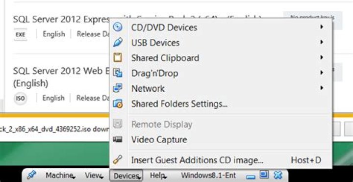 Seamless Mode and Auto Resize Guest Display are grayed out (disabled) - VirtualBox