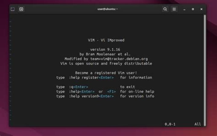 Setting alias to use Macvim in terminal instead of standard Vim