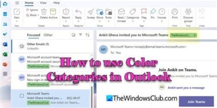 Shared Outlook Color Categories Appearing for other users after deletion