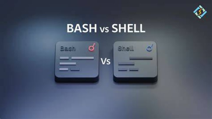 SHELL="/bin/bash" vs SHELL="bash"
