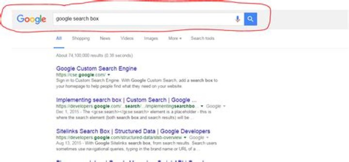Shortcut for Google search box