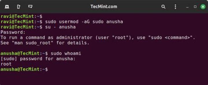 Should I use sudo in a script or sudo an entire script?
