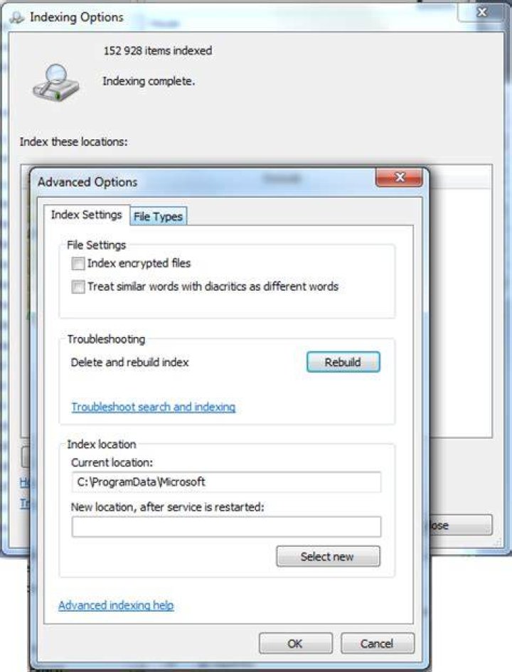 Should this folder called Data be indexed?