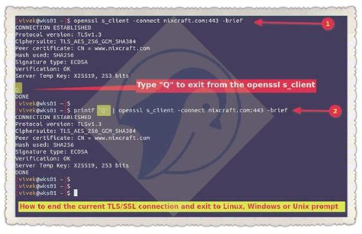 Socket errors running "openssl s_client -showcerts"
