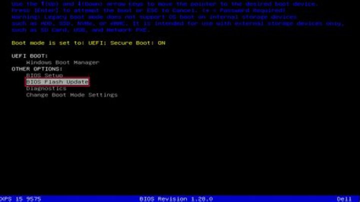Strange messages on new Dell Workstation during bootup
