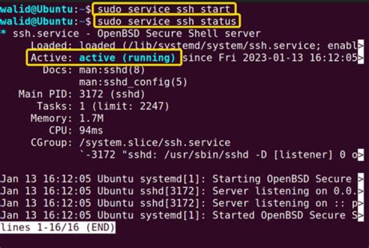 sudo service ssh restart, Command not found