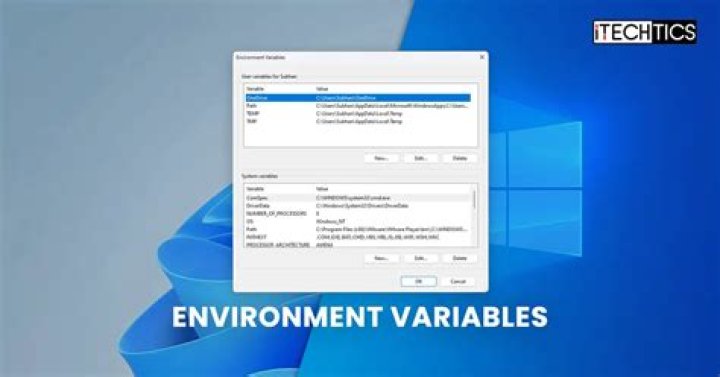 TERM system environment variable not set - Windows 10