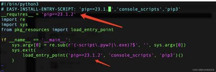 The 'pip==9.0.3' distribution was not found and is required by the application