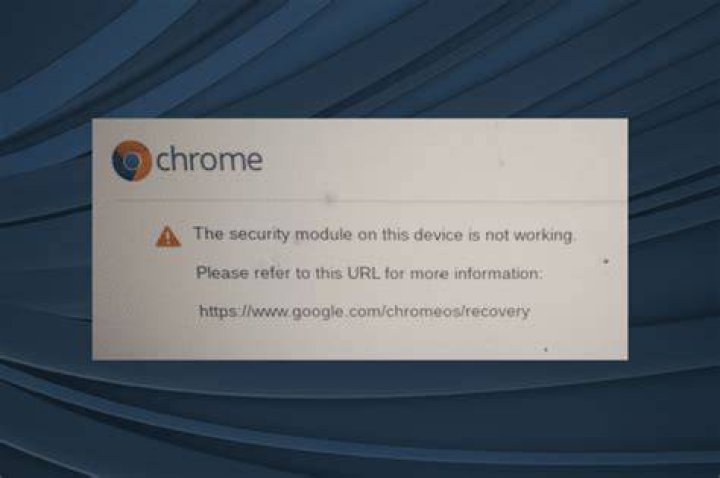 The security module on chromebook is not working