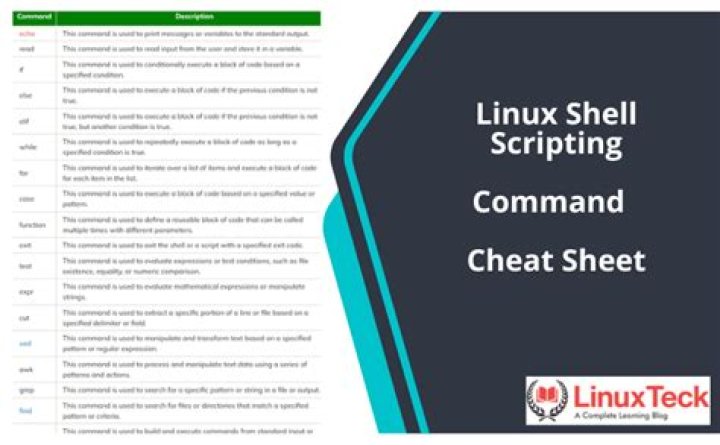 the use of the dollar sign, '$' in Linux or C++ (highly likely Linux)