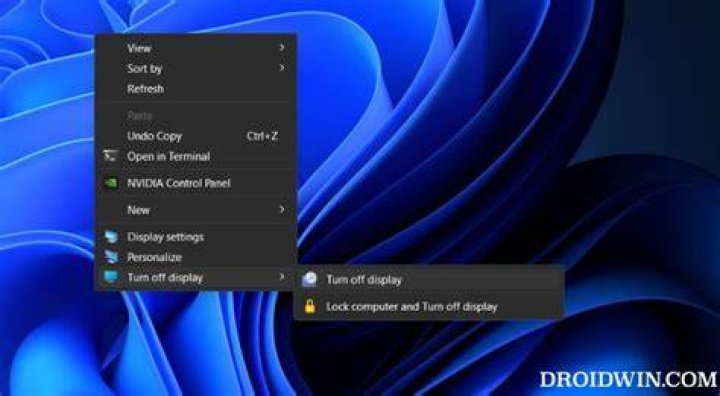 Turn off display in Windows on command